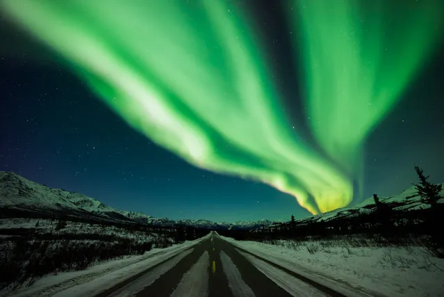 The Northern Lights, Denali National Park. (Photo by Caters News)