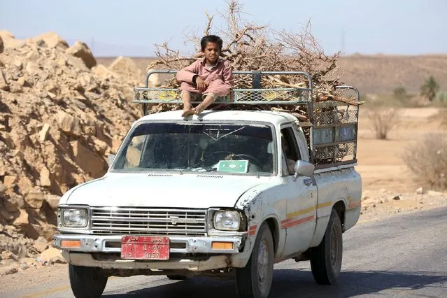 A boy rides atop a truck ferrying firewood in Yemen's northern city of Marib December 30, 2015. (Photo by Ali Owidha/Reuters)