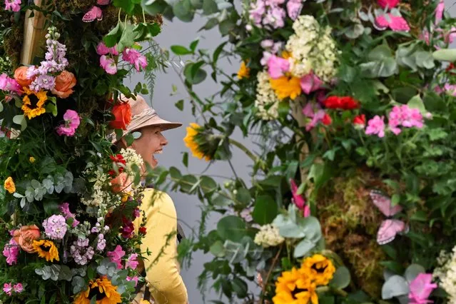 A visitor reacts next to floral displays at Chelsea Flower Show, in London, Britain on May 22, 2023. (Photo by Toby Melville/Reuters)