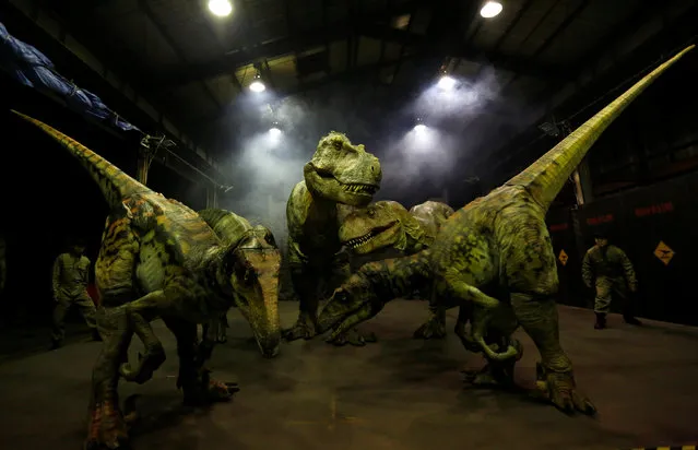 Japan's ON-ART Corp's eight metre tall man-operated walking dinosaur robot “TRX03” (C) performs with and other robots at the company's studio in Tokorozawa, Japan, December 6, 2016. (Photo by Toru Hanai/Reuters)