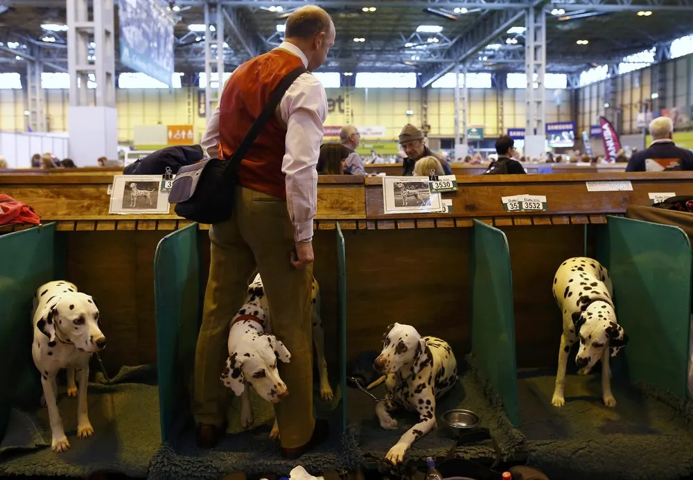 Crufts Dog Show in Birmingham