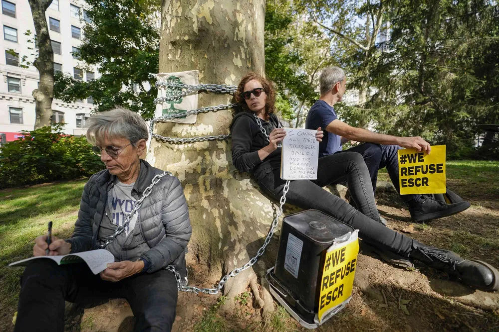 USA last Week, Part 1/2