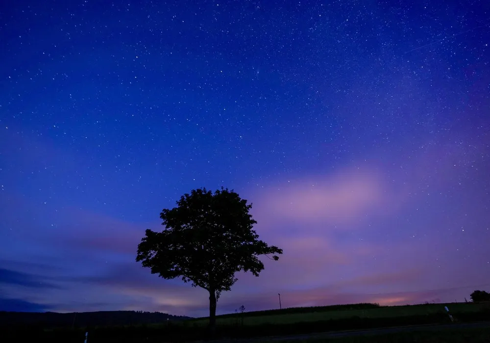 Some Photos: Starry Sky