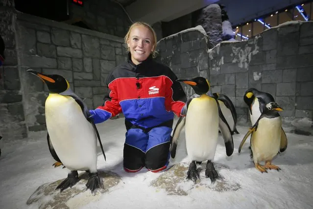 Tennis player Caroline Wozniacki is pictured with snow penguins in Ski Dubai at the Mall of the Emirates in Dubai on February 15, 2014, ahead of the Dubai Duty Free Tennis Championship for women. (Photo by Reuters)