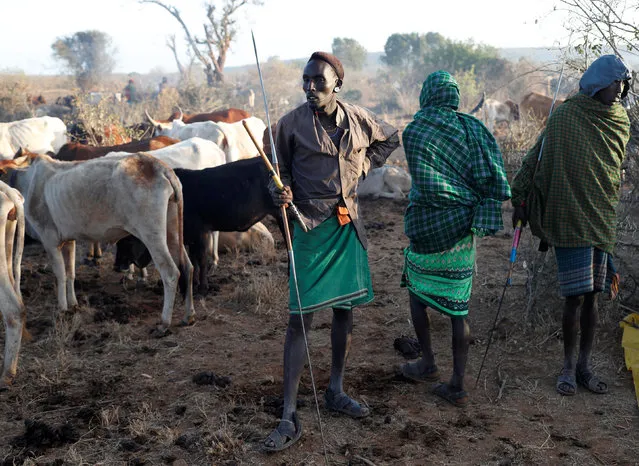 Samburu tribesmen and cattle herders stand before they walk with cows through a fence destroyed by other Samburu tribesmen outside Mugui conservancy, Kenya February 11, 2017. Kenya has declared the ongoing drought affecting many parts of the country a national disaster, calling for aid to counter the situation which is posing a major risk to people, livestock and wildlife. The Kenya Red Cross estimated about 2.7 million people were in need of food aid after low rainfall in October and November, with the next rainy season not due before April. (Photo by Goran Tomasevic/Reuters)