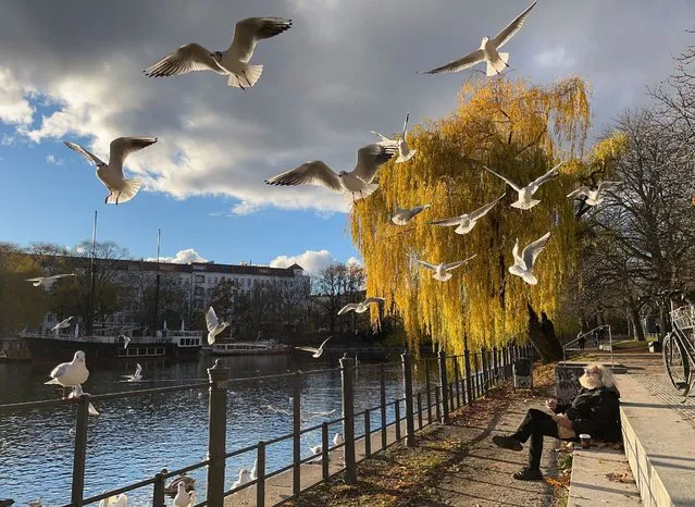 A man feeds seagulls from the banks of the Landwehr Canal as the sun shines in Berlin's Kreuzberg district on November 22, 2021. (Photo by David Gannon/AFP Photo)
