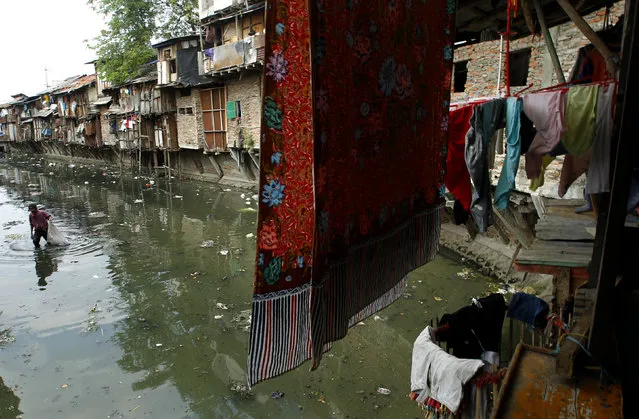 A man collect plastic for recycling in a polluted river in a Jakarta slum on October 1, 2010. (Photo by Beawiharta via Reuters)