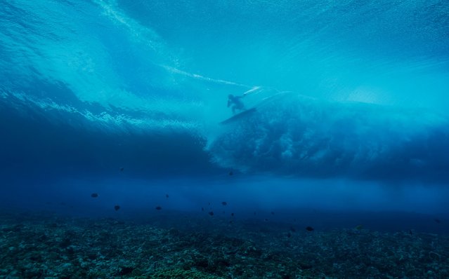 Tatiana Weston-Webb, of Brazil, surfs during training on July 23, 2024 in Tahiti for the Paris Olympics. (Photo by Ben Thouard/Pool via Reuters)