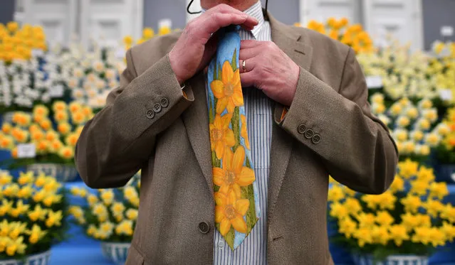 A man wearing a floral tie poses in front of daffodils at the 2017 Chelsea Flower Show in London on May 22, 2017. (Photo by Ben Stansall/AFP Photo)