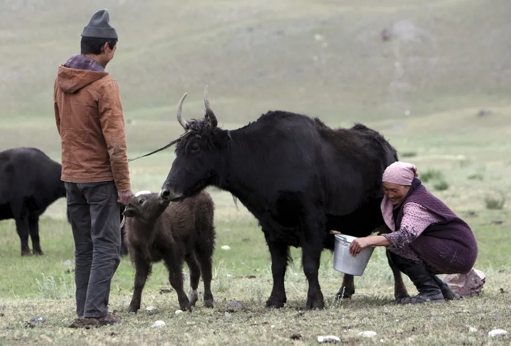 Kyrgyz National Horse Games