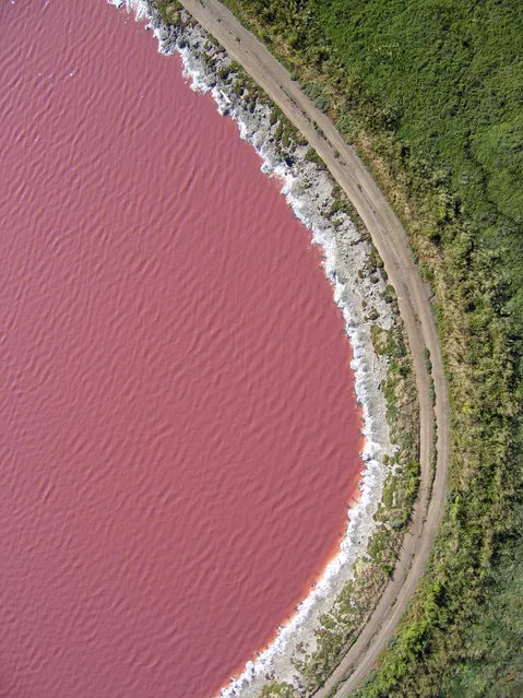 Aerial view of the salt ponds in San Francisco, California. (Photo by Cris Benton/Caters News)