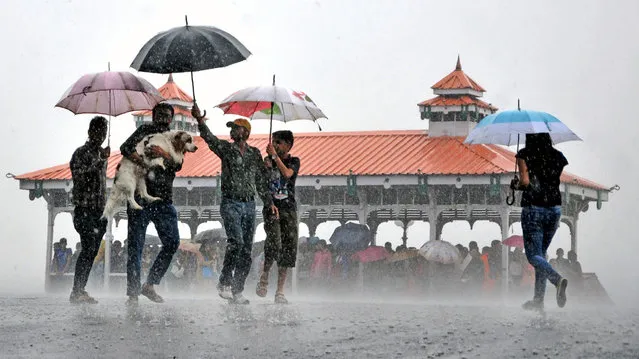 Indian pedestrians carry a dog as they make their way past others sheltering in a pavilion during a heavy monsoon rain downpour in Shimla on June 22, 2016. At least 93 people have been struck by lightning and killed in India over the past two days, disaster management officials said, as annual monsoon rains swept the country. Lightning strikes are relatively common in India during the June-October monsoon, which hit the southern coast earlier this month, but this week's toll is particularly high. (Photo by AFP Photo/Stringer)
