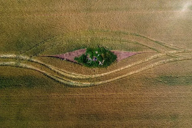 An aerial photo taken with a drone shows traces of the wheel of an agricultural vehicle on a grain field near Hajduszoboszlo, Hungary, 08 June 2022. (Photo by Zsolt Czegledi/EPA/EFE)
