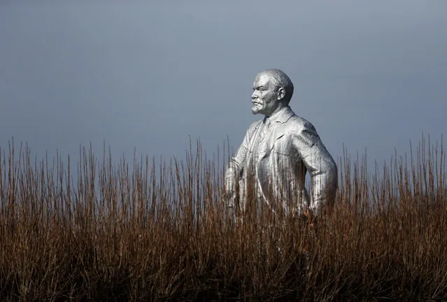 A view shows a monument to Soviet state founder Vladimir Lenin in the village of Kazinka in Stavropol region, Russia on February 20, 2020. (Photo by Eduard Korniyenko/Reuters)