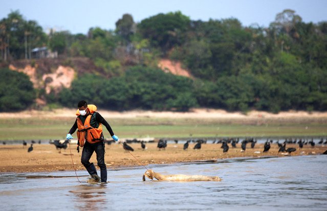 Researchers from the Mamiraua Institute for Sustainable Development retrieve a dead dolphin from Tefe lake, which flows into the Solimoes river, that has been affected by the high temperatures and drought in Tefe, Amazonas state, Brazil on October 2, 2023. (Photo by Bruno Kelly/Reuters)