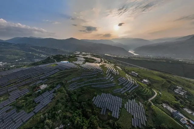 This photo taken on August 16, 2022 shows solar panels among Sichuan pepper field in Bijie, in China's southwestern Guizhou province. (Photo by AFP Photo/China Stringer Network)