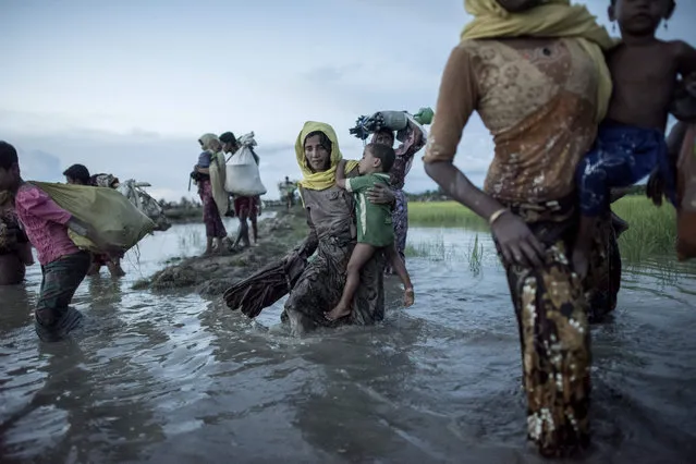 Rohingya refugees wade after crossing the Naf river from Myanmar into Bangladesh in Whaikhyang on October 9, 2017. A top UN official said on October 7 Bangladesh' s plan to build the world' s biggest refugee camp for 800,000- plus Rohingya Muslims was dangerous because overcrowding could heighten the risks of deadly diseases spreading quickly. The arrival of more than half a million Rohingya refugees who have fled an army crackdown in Myanmar' s troubled Rakhine state since August 25 has put an immense strain on already packed camps in Bangladesh. (Photo by Fred Dufour/AFP Photo)