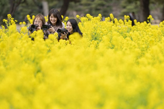 People pose for photographs with their cameras in a field of rape blossoms at a park in Tokyo on February 17, 2025. (Photo by Yuichi Yamazaki/AFP Photo)