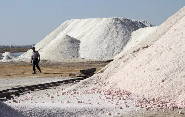 A laborer walks past mounds of sea salt at a salt production site at the Sasyk-Sivash lake near the city of Yevpatoria in Crimea, October 5, 2014. (Photo by Pavel Rebrov/Reuters)