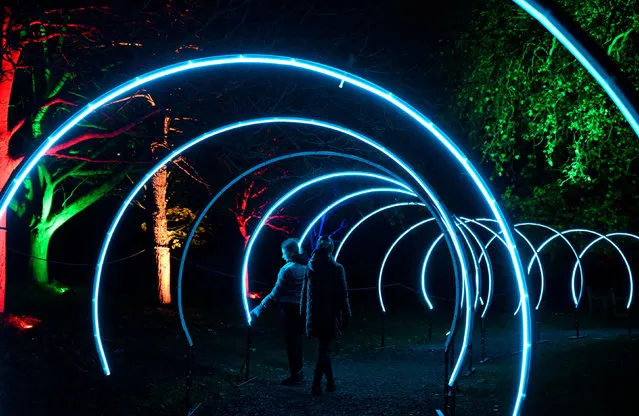 Visitors view light installations as part of the “Enchanted Woodland” illuminated trail at Syon Park in London, Britain on November 26, 2022. (Photo by Toby Melville/Reuters)