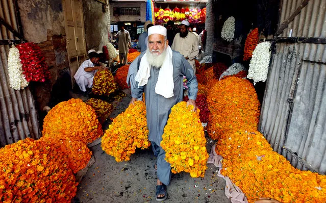 A vendor carries garlands of marigold flowers at a wholesale flower market in Peshawar, Pakistan, Wednesday, September 30, 2015. (Photo by Mohammad Sajjad/AP Photo)