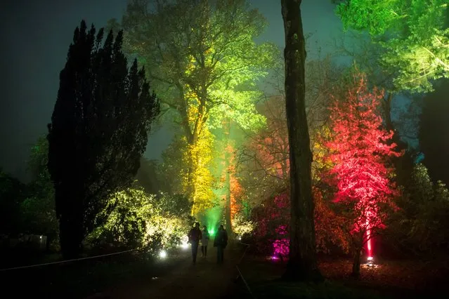 People walk along the Enchanted Christmas illuminated trail at Westonbirt Arboretum in Gloucestershire, which opens officially on Friday November 28th. (Photo by Ben Birchall/PA Wire)