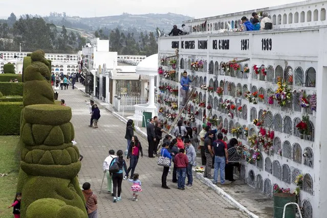 People clean graves at a cemetery, known for its topiary art, during the observance of the Day of the Dead, in Tulcan, Ecuador November 2, 2015. (Photo by Guillermo Granja/Reuters)