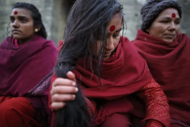 A devotee dries her hair after taking a holy bath during the Swasthani Brata Katha festival in Kathmandu January 20, 2015. (Photo by Navesh Chitrakar/Reuters)