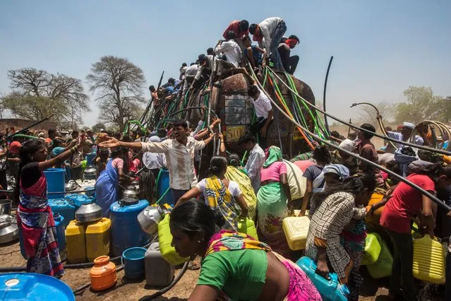 3rd place in the humanity v nature category. Maharashtra, India, 2019. The 20,000-litre water tanker takes two hours to fill but it gets emptied within five to seven minutes. From elderly people to families to young children, villagers huddle in the crowd to fill their buckets with water. (Photo by Pratik Chorge/Environmental Photography Award)