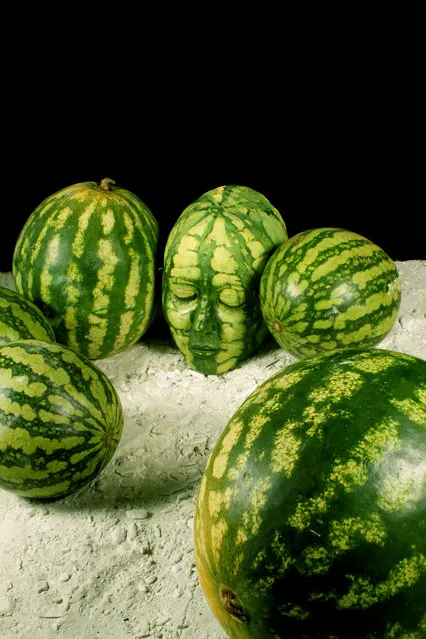 “Melon”. (Photo by Johannes Stötter)