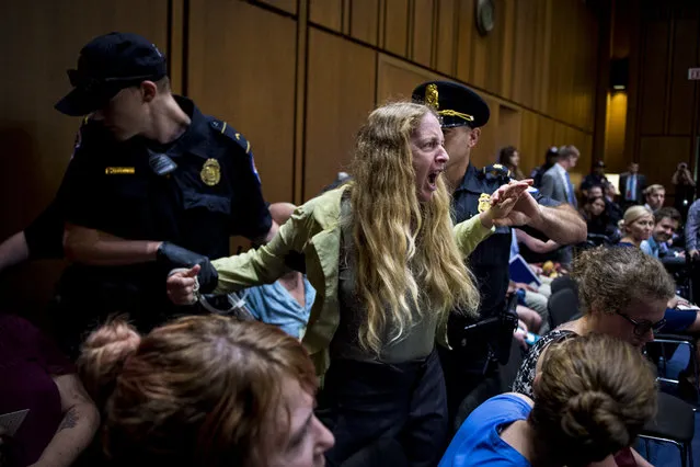 A protester is removed by Capitol police during the hearing of Supreme Court nominee Brett Kavanaugh in front of the Senate Judiciary Committee in the Hart Senate Office Building Tuesday, September 4, 2018. (Photo by Sarah Silbiger/CQ Roll Call/Getty Images)