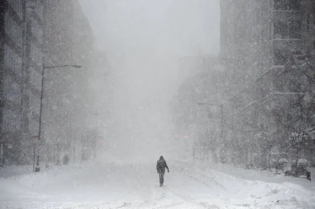A person makes their way up a street on Saturday January 23, 2016 in Washington, DC. A large snow event was being predicted for Washington, DC area.(Photo by Matt McClain/ The Washington Post)