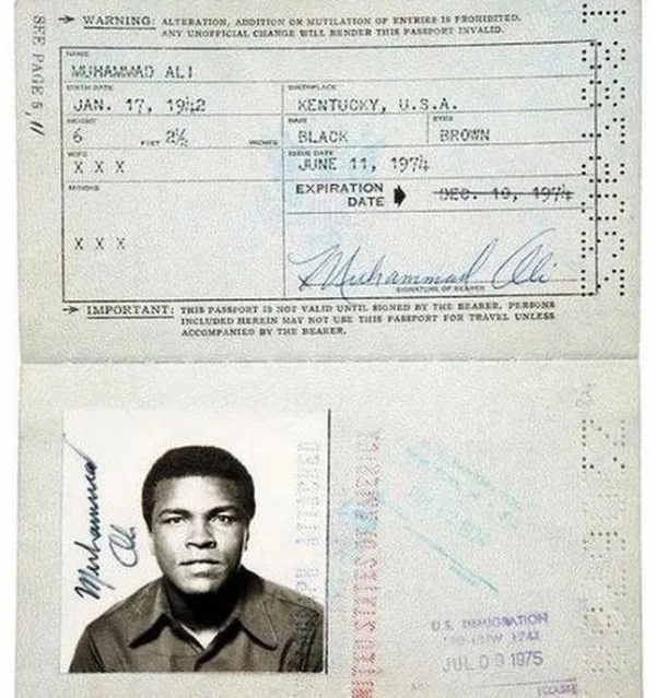 Passport Photos of Iconic Figures in History