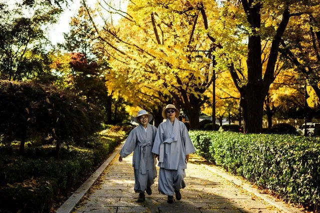 Buddhist nuns walk amongst trees with autumnal foliage in Seoul on November 2, 2023. (Photo by Anthony Wallace/AFP Photo)