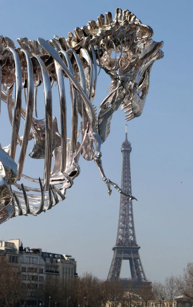 Chrome T-Rex Sculpture in Paris by Philippe Pasqua