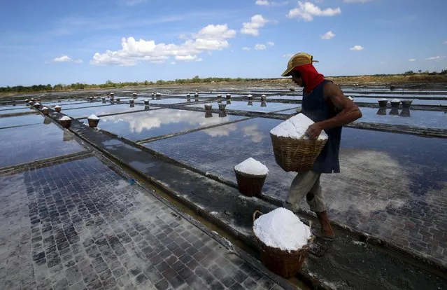 A worker carries a crate containing newly harvested salt from a  salt farm in Dasol, Pangasinan in northern Philippines April 22, 2015. (Photo by Erik De Castro/Reuters)