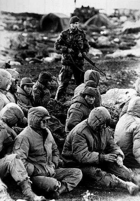 Captured Argentinian soldiers are guarded by a British Royal Marine as they await transit out of the area at Goose Green, Falkland Islands, June 2, 1982. The 10-week Falklands War killed 712 Argentines, 255 Britons and three islanders. (Photo by Martin Cleaver/AP Photo)