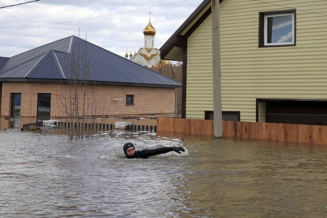 A local resident swims in the flooded street between houses in Orenburg, Russia, on Saturday, April 13, 2024. Over 11,700 houses remain flooded in the Orenburg region and some 10,700 people have already been evacuated from flooded areas. The deluge hit the region after a dam on the Ural River burst last week under surging waters. (Photo by AP Photo)