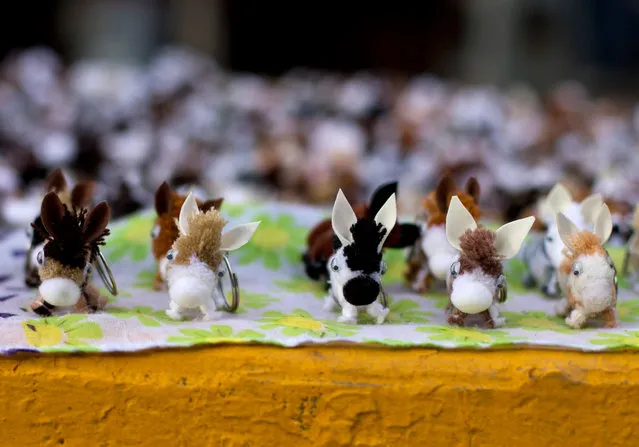 In this May 1, 2016 photo, donkey keychains are displayed for sale at the annual donkey festival in Otumba, Mexico state, Mexico. In addition to the main events, tourists and locals stroll through surrounding streets packed with donkey-themed souvenirs, food stalls, and fairground rides including live donkey and horse carousels. (Photo by Rebecca Blackwell/AP Photo)
