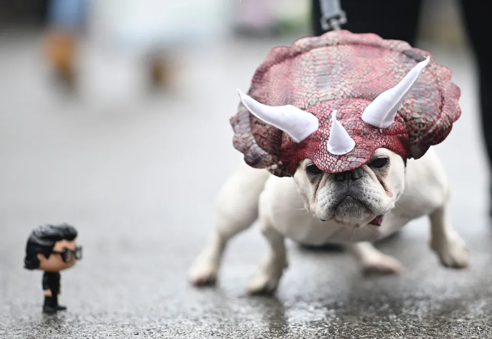 Tompkins Square Halloween Dog Parade 2019