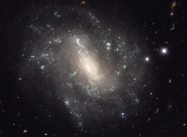 This image provided by NASA shows a barred spiral galaxy 130 million light-years away and is one of the measurements that astronomers used to come up with a faster rate of expansion of the universe. A team of astronomers has calculated that the universe seems to be expanding faster than what scientists previously figured. If the new research is right, then science's basic understanding of what's been happening to the universe in the past 13.8 billion years after the Big Bang could be just a bit off kilter. (Photo by NASA via AP Photo)