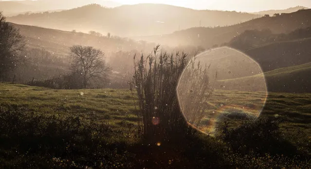 Rural Daily Life in Radicondoli by Photographer Marco Sgarbi Part 2