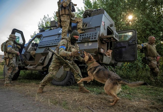 A Ukrainian serviceman plays with a dog, amid Russia's attack on Ukraine, near the Russian border in Sumy region, Ukraine on August 16, 2024. (Photo by Viacheslav Ratynskyi/Reuters)