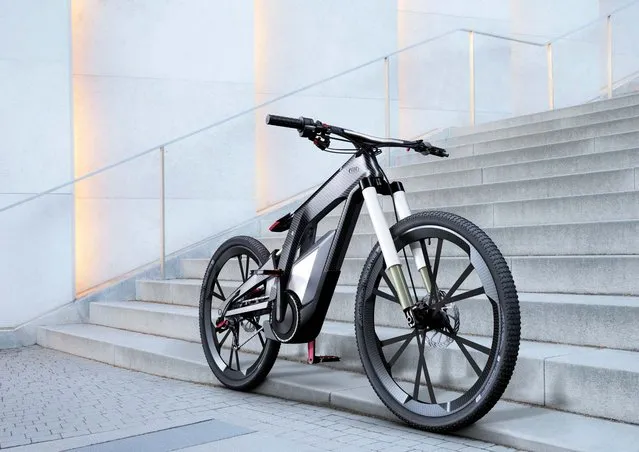 Audi E-Bike Worthersee