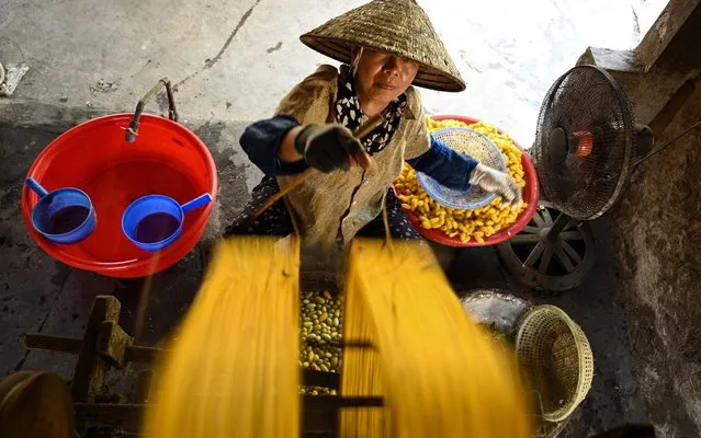 This photograph taken on September 17, 2019 shows a worker collecting yellow silk threads on a bobbbin inside a workshop in Co Chat village in Vietnam's Nam Dinh province. Cocoons bob over boiling water as silk is rapidly teased out, spinning on reels under the watchful gaze of women hard at work in Vietnam's Co Chat village, where households have been making thread for more than a century. (Photo by Manan Vatsyayana/AFP Photo)