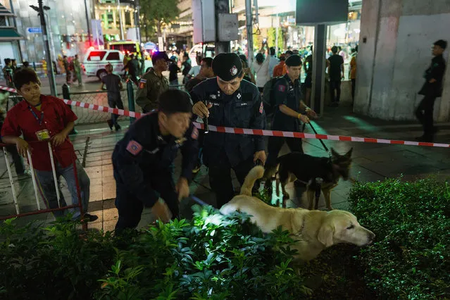 Policemen check with sniffer dogs at the scene of an explosion on August 17, 2015 in Bangkok, Thailand. A large explosion believed to a bomb has hit central Bangkok this evening with early reports suggesting at least 16 people have died and scores more have been injured. (Photo by Nicolas Axelrod/Getty Images)