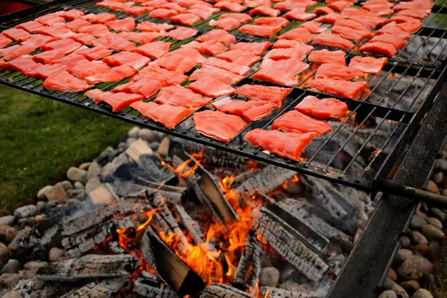 Volunteers tend some of the 3,000 pieces of salmon they will cook over an alder wood fire to celebrate Canada Day at the annual Steveston Salmon Festival in Richmond, British Columbia, Canada July 1, 2016. (Photo by Jonathan Ernst/Reuters)