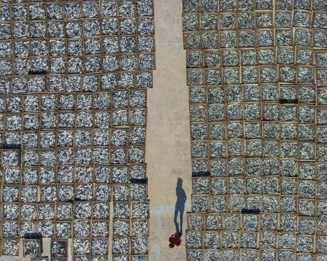 An aerial view shows a worker standing among dry fishes at a factory in Penghu islands on May 31, 2022. (Photo by Sam Yeh/AFP Photo)