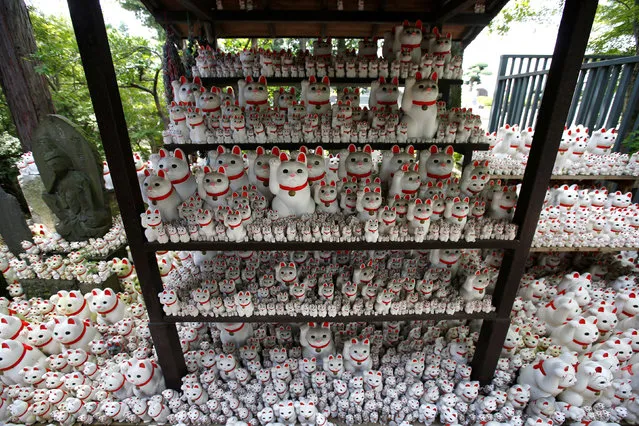 Japanese cat statues called “manekineko”, believed to bring good luck, are dedicated at Gotokuji Temple in Tokyo, Japan August 23, 2017. (Photo by Issei Kato/Reuters)