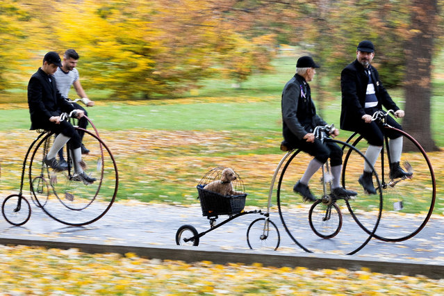 Participants wearing historical costumes ride their high-wheel bicycles during the annual penny farthing race in Prague, Czech Republic on November 2, 2024. (Photo by Eva Korinkova/Reuters)